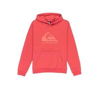 Quiksilver Comp Logo Kids Hoodie mineral red Jungen Gr. T08