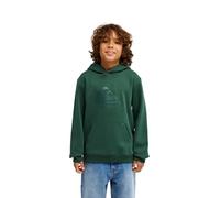Quiksilver Jungen Comp Logo Hoodie Youth Pullover (1er Pack)