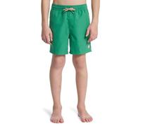 Quiksilver Jungen Everyday Volley YTH 14 Boardshorts, Kobold, 12 Jahre