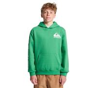 Kapuzensweatshirt QUIKSILVER "Omni Logo", Jungen, Gr. 14, leprechaun, Obermaterial: 55% Baumwolle, 45% Polyester., Sweatshirts (74341649-14) leprechaun