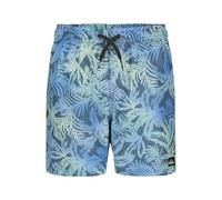 Quiksilver Jungen Volley Swim Trunks with UPF 50+ Sun Protection, Quick Dry Bathing Suit Shorts Badehose, Stormy Seas, 10-12