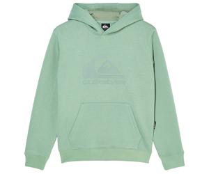 Quiksilver - Kid's Comp Logo Hoodie - Hoodie, Gr. 152 146/152, grün (IcebergGreen)