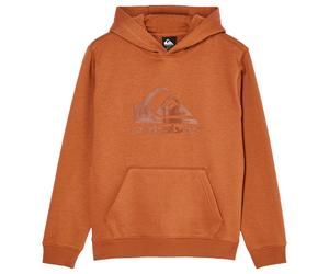 Quiksilver - Kid's Comp Logo Hoodie - Hoodie, Gr. 152 146/152, orange (Rawhide)