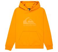 Quiksilver - Kid's Comp Logo Hoodie - Hoodie, Gr. 176 16, orange (MineralYellow)