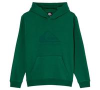 Quiksilver - Kid's Comp Logo Hoodie - Hoodie, Gr. 176 170/176, grün (Forest)