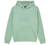 Quiksilver - Kid's Comp Logo Hoodie - Hoodie, Gr. 176 170/176, grün (IcebergGreen)