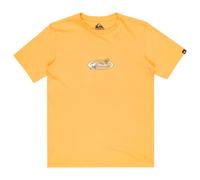 Quiksilver - Kid's Evo Nature Magic S/S - T-Shirt, Gr. 170 14 Years, orange (Chamois)