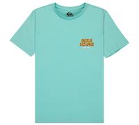 Quiksilver - Kid's Fruits Tide S/S - T-Shirt, Gr. 170 14, türkis (BlueHaze)