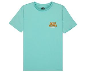 Quiksilver - Kid's Fruits Tide S/S - T-Shirt, Gr. 170 158/164, türkis (BlueHaze)
