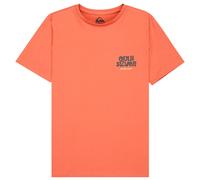 Quiksilver - Kid's Fruits Tide S/S - T-Shirt, Gr. 176 170/176, rot (DesertSand)
