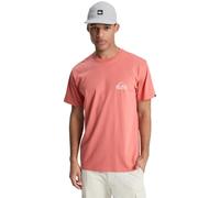Quiksilver Ev Mini Logo T-Shirt rosa lachsfarben - XS