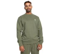 Quiksilver Men's Basic Crew Young Men Sweatshirt, Four Leaf Clover, XS