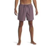 Quiksilver Men's Everyday SURFWASH Volley 17NB Shorts, Grape Shake, XXL