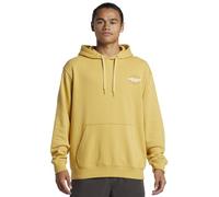 Quiksilver Men's Omni Sign PO Hoodie Pullover Sweater, Fall Leaf, XL