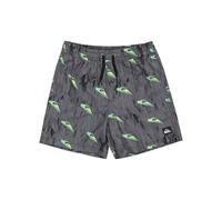 Quiksilver - Next Gen Volley 14" Boardshorts - Kind