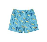 Quiksilver Next Gen Volley 14 Badeshorts (Herstellerartikelnummer: EQBJV03514-BHA4-M/12)