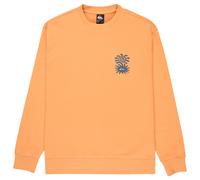 Quiksilver - Salt Water Graphic Crew - Pullover, Gr. M, orange (Khaki)