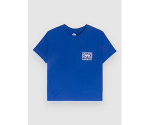 Quiksilver Standard T-Shirt surf the web Damen Gr. L