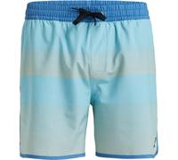 Quiksilver - Surfsilk Scallop Volley Badeshorts Herren acuifer tijuana