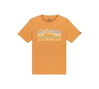 Quiksilver T-Shirt, kurzärmlig, EV Light Waves SS, Braun 14