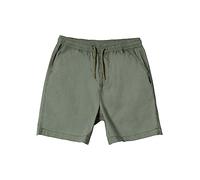 Quiksilver Taxer - Shorts für Jungen 8-16 Grün