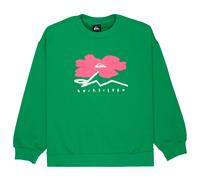 Quiksilver - Women's Standard Crew - Pullover, Gr. M, grün (Leprechaun)