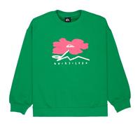 Quiksilver - Women's Standard Crew - Pullover, Gr. S, grün (Leprechaun)