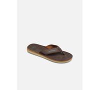 Quiksilver - Zehensandalen Carver Nubuck - braun - Größe 41