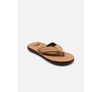 Quiksilver - Zehensandalen Carver Nubuck - braun - Größe 44