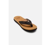 Quiksilver - Zehensandalen CARVER SQUISH 26 - Beige - Größe 47