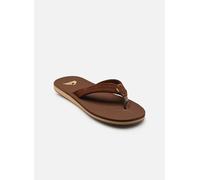 Quiksilver - Zehensandalen CARVER SUEDE 26 - Braun - Größe 40
