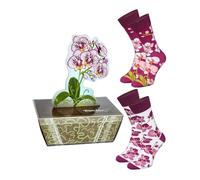 Rainbow Socks - Orchid Box Socks - Damen Novelty Elegant Geschenk Orchidee Blumen Socken für Frauen Mädchen Großmutter Floristen Blumen Fans - 2 Paar - Größen 41-46