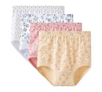 Rainjia Unterhosen Senioren Damen 100% Baumwolle, 4er Pack Hohe Taille Stretch Slips Übergröße Lose Höschen Weiche Unterwäsche Oma schlüpfer Hipster für Frauen Mittleren und Älteren Alters