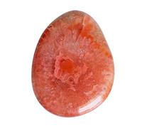 Ravishing Impressions 17 CTW Natürliches rotes HornkorallenCabochon aus Utah, Größe 24 x 18 x 4 mm, zur Schmuckherstellung, zur Abgabe von Negativität, Edelstein, rote Koralle