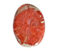 Ravishing Impressions 18 CTW Natürlicher Utah Rothorn Cabochon, 26 x 19 x 3,5 mm, zur Schmuckherstellung, beruhigender und schützender Edelstein, roter Korallenstein