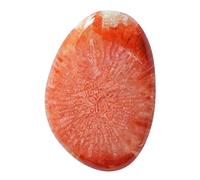 Ravishing Impressions 22 CTW Natürlicher Rothorn-Anhänger aus Utah, Cabochon-Größe: 28 x 19 x 4,5 mm, fossil roter Edelstein, Agatisierter Anhänger, stellt Ihre Spiritualität wieder her