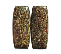 Ravishing Impressions Natürlicher roter Dinosaurier Knochen Cabochon aus Utah Rechteckige Form Größe 31 x 13 x 5,5 mm Ohrringe Edelstein Schmuck Krankheit Emotionen