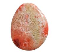 Ravishing Impressions Natürlicher Utah Horn Cabochon, 27 x 21 x 4 mm, 20 CTW, zur Schmuckherstellung, zur Befreiung von Negativität, Edelstein, rote Koralle