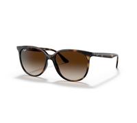 Ray-Ban 0RB4378 710/13 Kunststoff Panto Havana/Havana Sonnenbrille, Sunglasses Havana/Havana Mittel