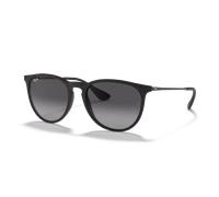 Ray Ban Erika Classic RB 4171-622/8G