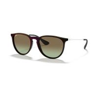 Ray-Ban Erika - 54 RB4171 6316E8