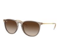 Ray-Ban Erika Classic Sonnenbrillen Gold Fassung Braun Glas 54-18