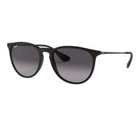 Ray Ban Erika Classic RB 4171-622/8G