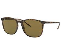Ray-Ban RB4387 Sonnenbrille Quadratisch