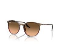 Ray-Ban RB2204 Runde Sonnenbrille für Herren für Damen, Gestreift Braun & Rot / Rosa / Schwarz, Small