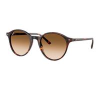 Ray Ban - RB2230 Bernard Polished Havana Incolore Brown Gradient - 51 - Sonnenbrille Marron 51