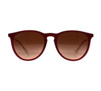 Ray-Ban Rb4171 Erika, Brille Uni-Erwachsene, Gummi lila/rosa Farbverlauf Braun, 54 mm, Gummi Lila/Rosa Farbverlauf Braun, 54 mm