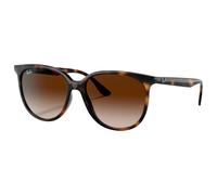 Ray-Ban 0RB4378 710/13 Kunststoff Panto Havana/Havana Sonnenbrille, Sunglasses Havana/Havana Mittel
