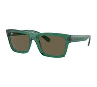 Ray Ban - RB4396 Warren Polished Translucide Green Brown - 54 - Sonnenbrille Vert 54