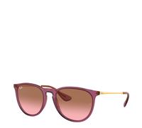 Ray Ban RB4171 659114 54 transparent violet / pink gradient brown